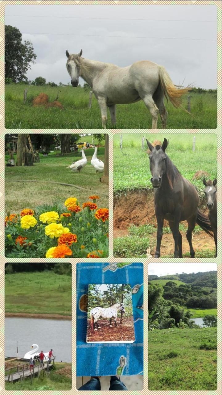 Chales Reviva Sao Sebastiao do Rio Verde Экстерьер фото